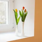 Apartman Oasis